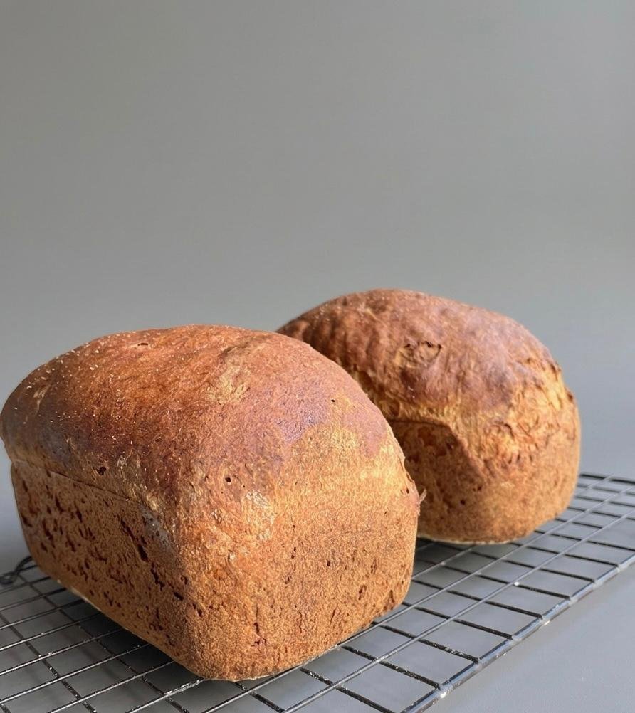 Gluten-free sandwich bread loaves