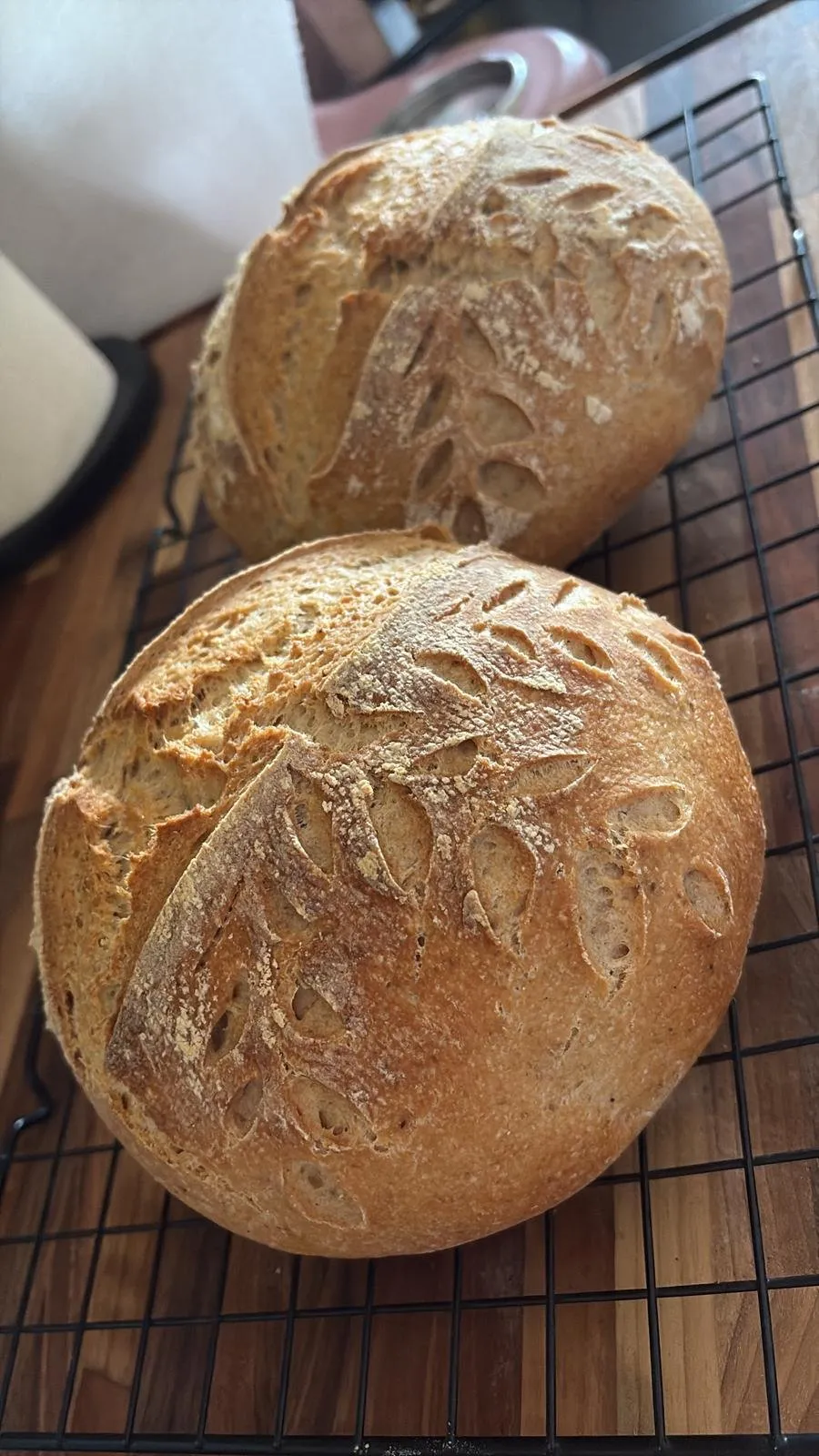 Two decoratively-scored sourdough boules on a cooling rack